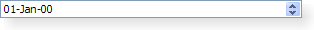 Screenshot of a Windows XP style date editing widget